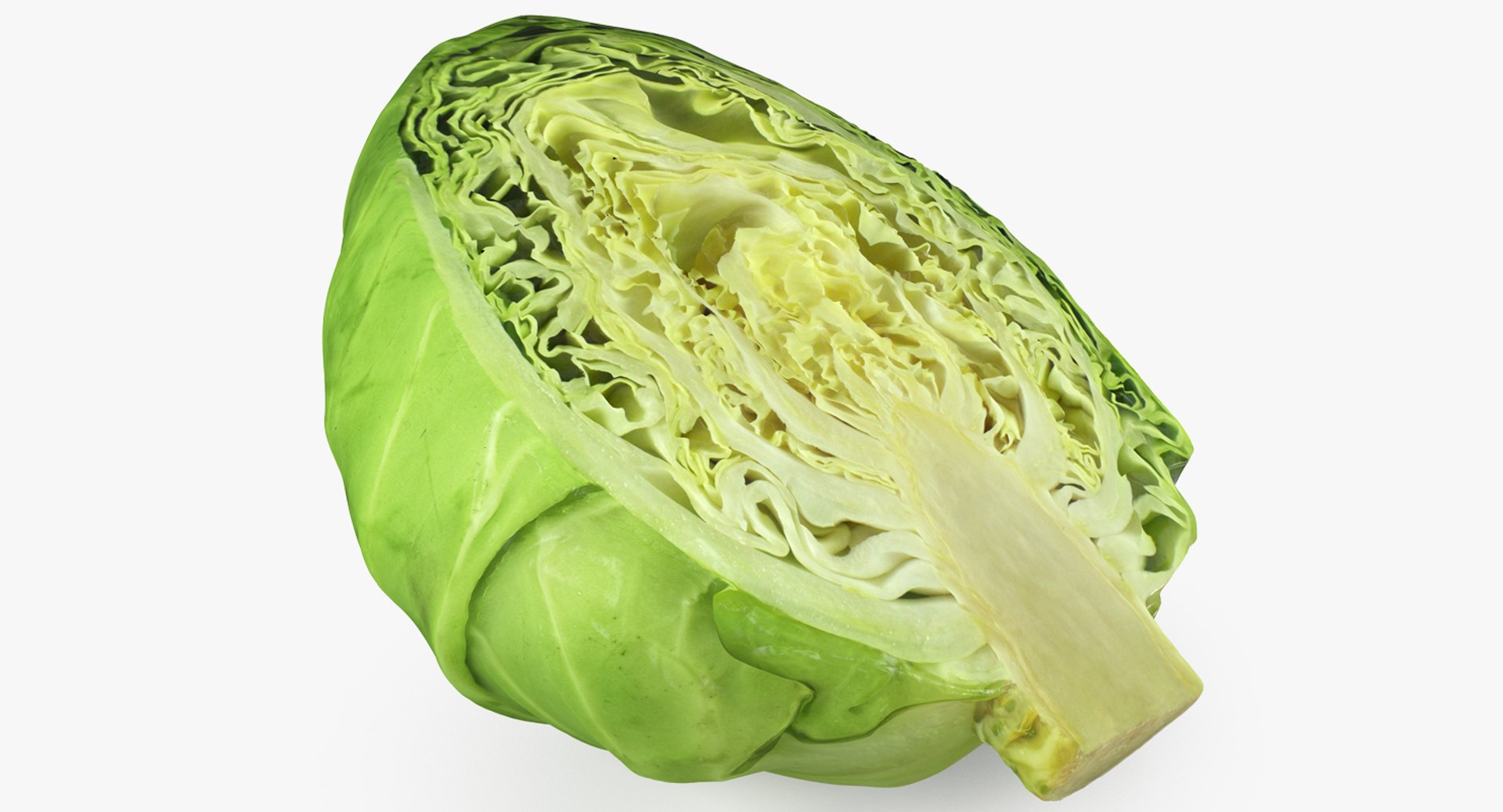 Cabbage Half 3D Model 3D model preview