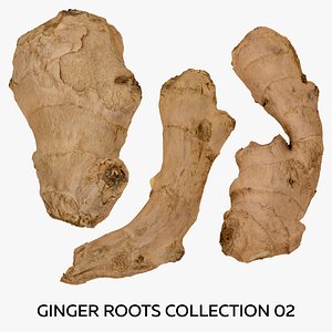 3D Ginger Roots Collection 02 - 3 models RAW Scans