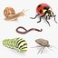 bugs insects snail 3D