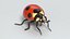 bugs insects snail 3D