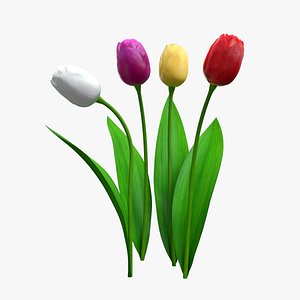 tulip realistic 3D