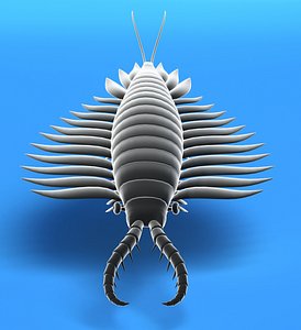 Anomalocaris