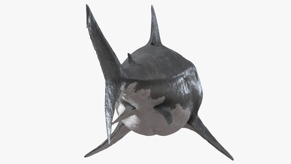 Megalodon Swimming Pose 3D model - TurboSquid 1750046