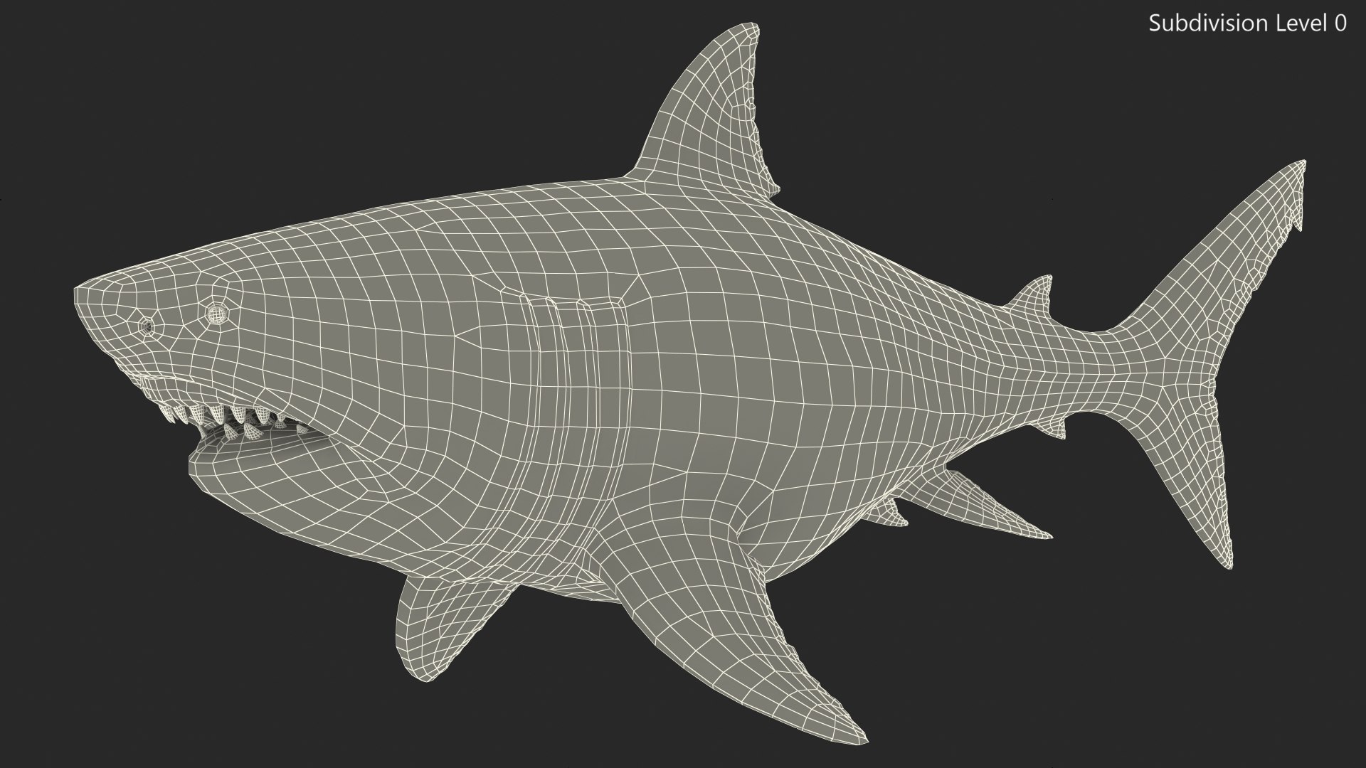 Megalodon Swimming Pose 3D model - TurboSquid 1750046