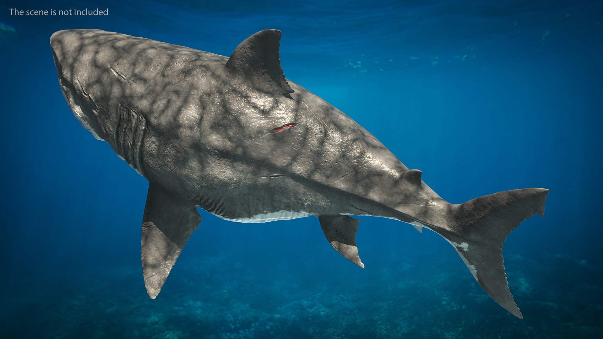 Megalodon Swimming Pose 3D model - TurboSquid 1750046