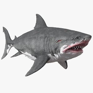 Megalodon Swimming Pose