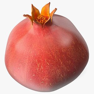 3D Pomegranate Fruit model