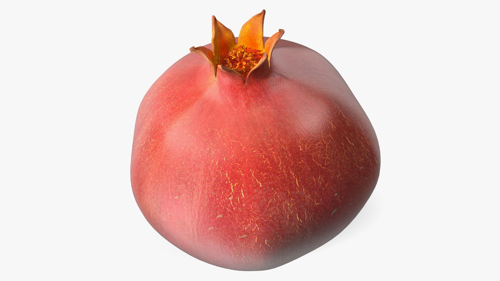 Pomegranate Fruit 3D model preview