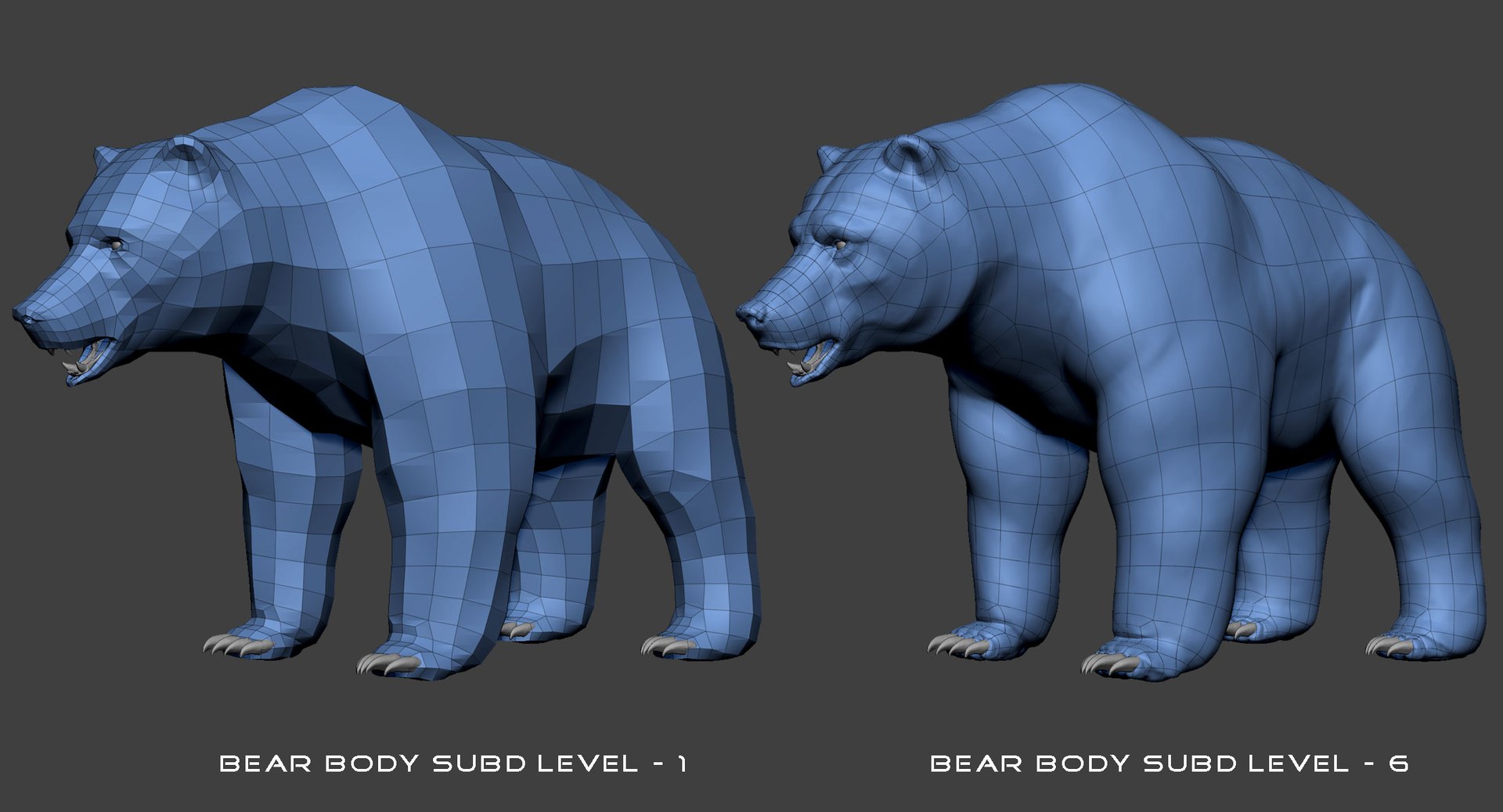 Brown Bear Grizzly Base Mesh 3d Model