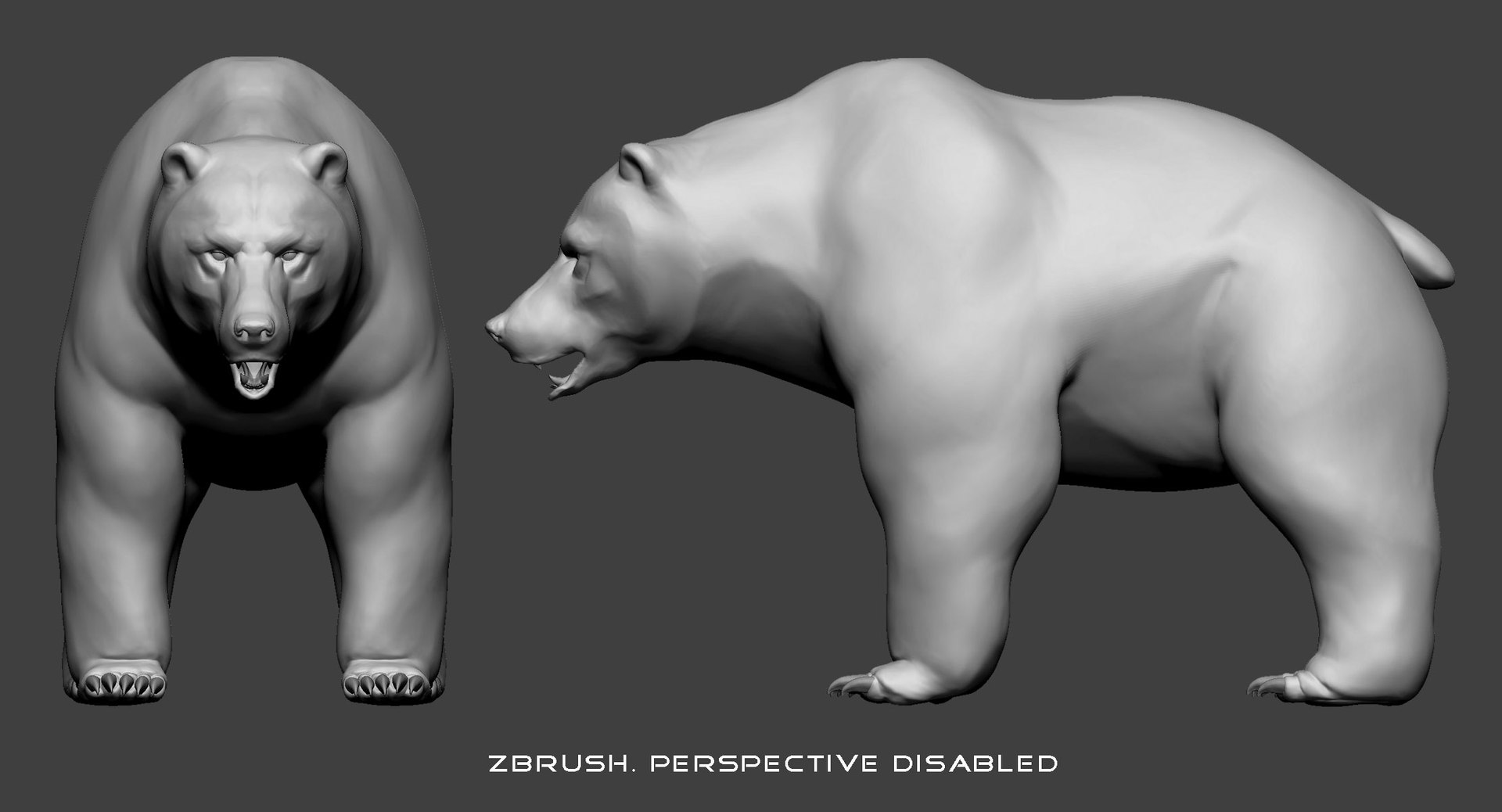 Brown Bear Grizzly Base Mesh 3d Model
