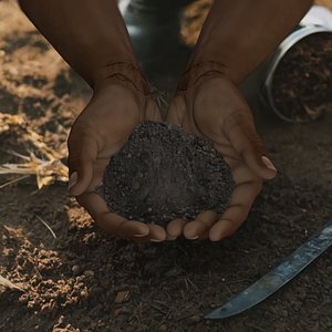 3D Afro American Hands Holding Soil model