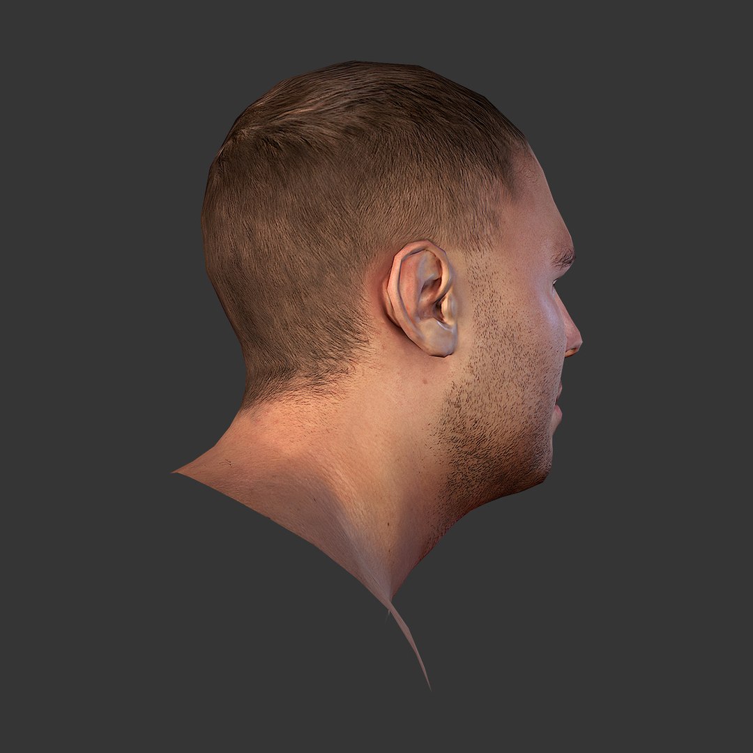 3d realistic human male head model https://p.turbosquid.com/ts-thumb/Fi/jhOShV/0bFhkriv/sign06/jpg/1361195762/1920x1080/fit_q87/2c255f58d72b2f3a7cc83b2a1ac92a970922ed2c/sign06.jpg