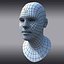 3d realistic human male head model