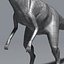 ornithomimus therapod cretaceous 3d max