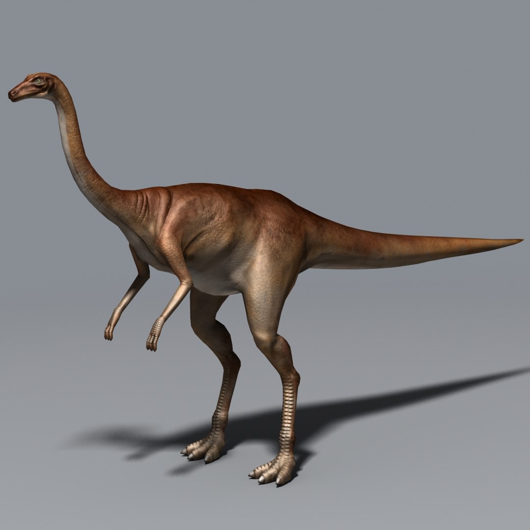 ornithomimus therapod cretaceous 3d max https://p.turbosquid.com/ts-thumb/Fi/mLWvG6/SzFq2pei/orn_0000/jpg/1329463226/1920x1080/fit_q87/c61252c78e836510cb46a93f5ff907f0eb761540/orn_0000.jpg
