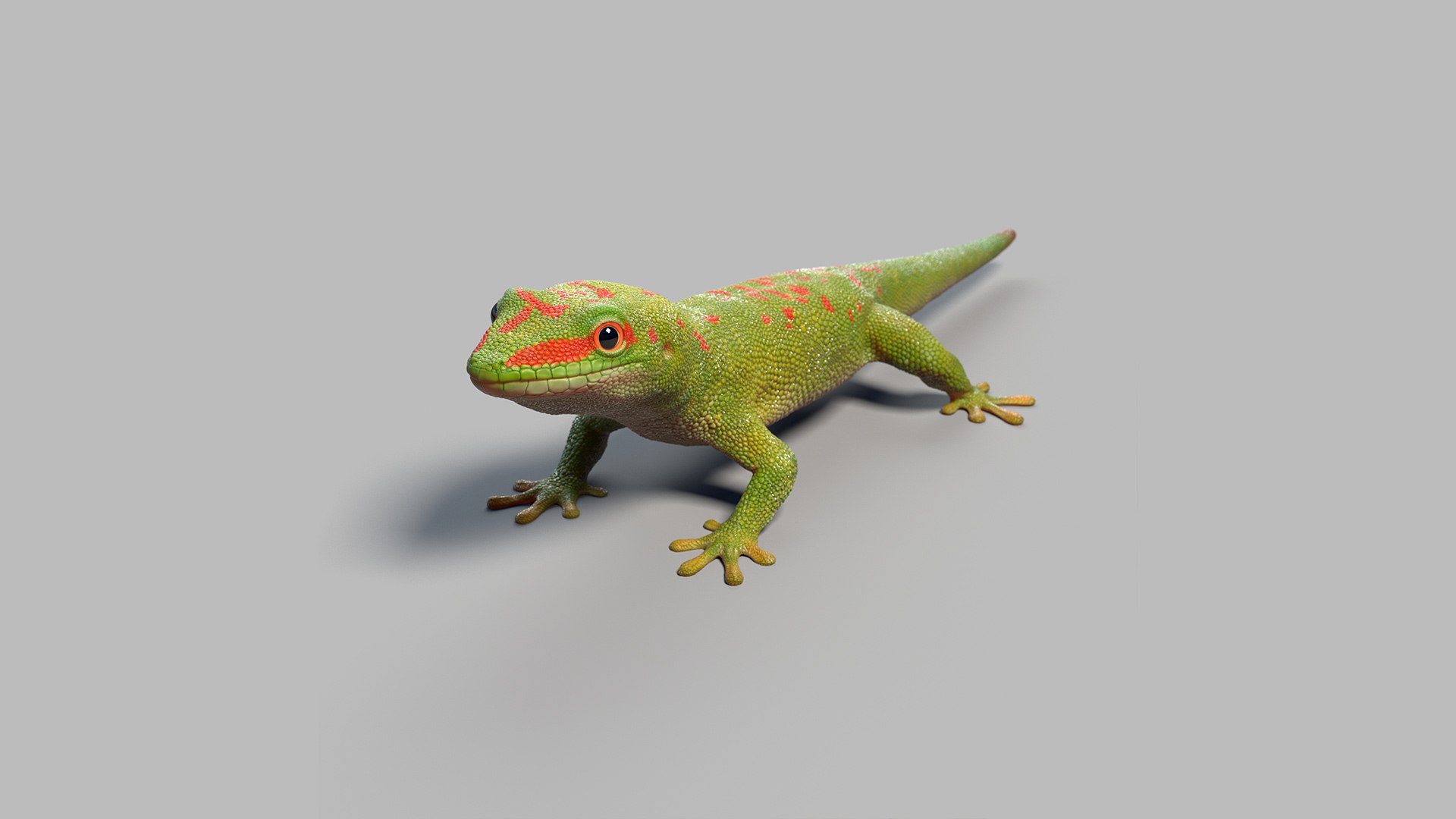 3D model gecko rigged - TurboSquid 1616251