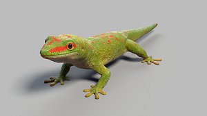 3D model gecko rigged