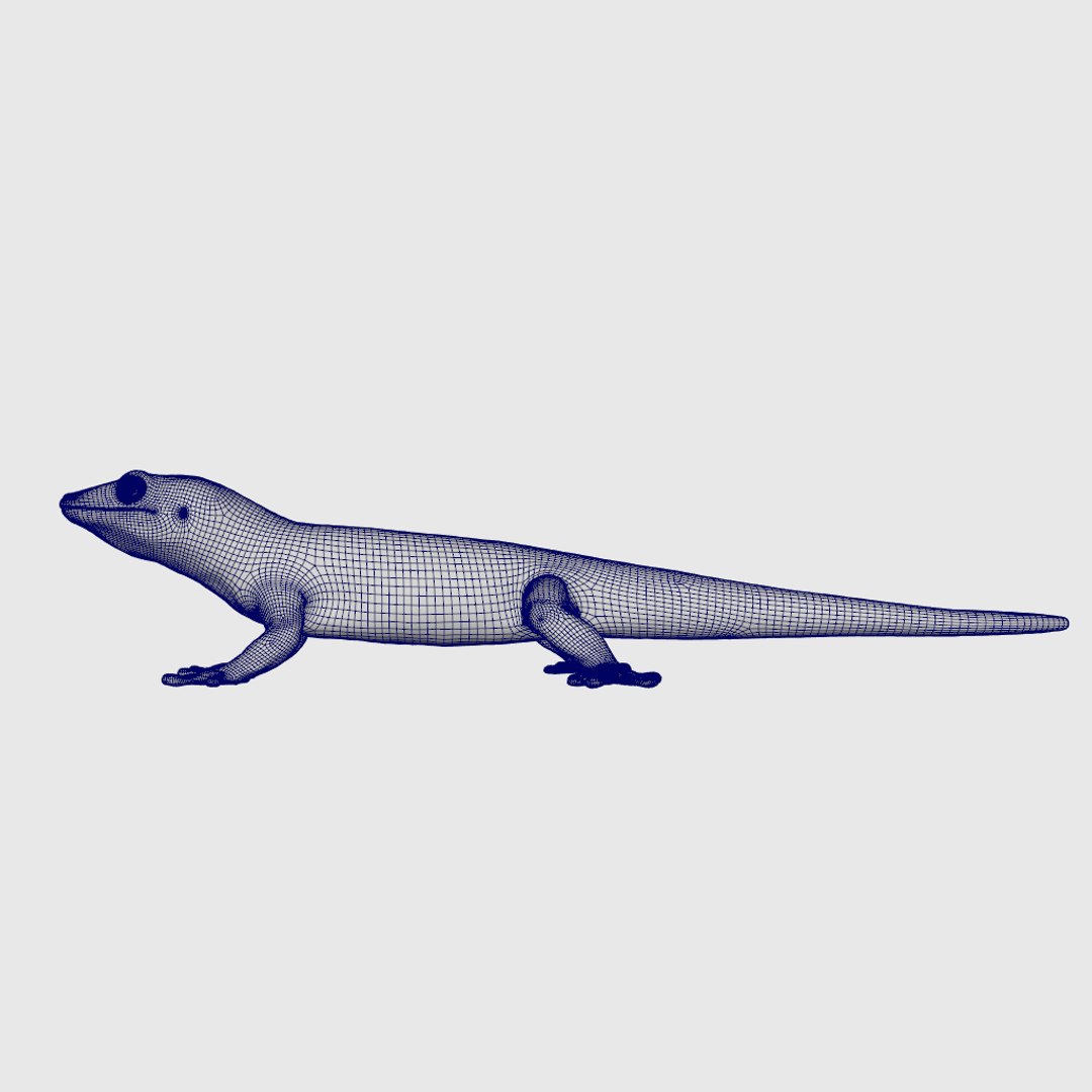 3D model gecko rigged - TurboSquid 1616251