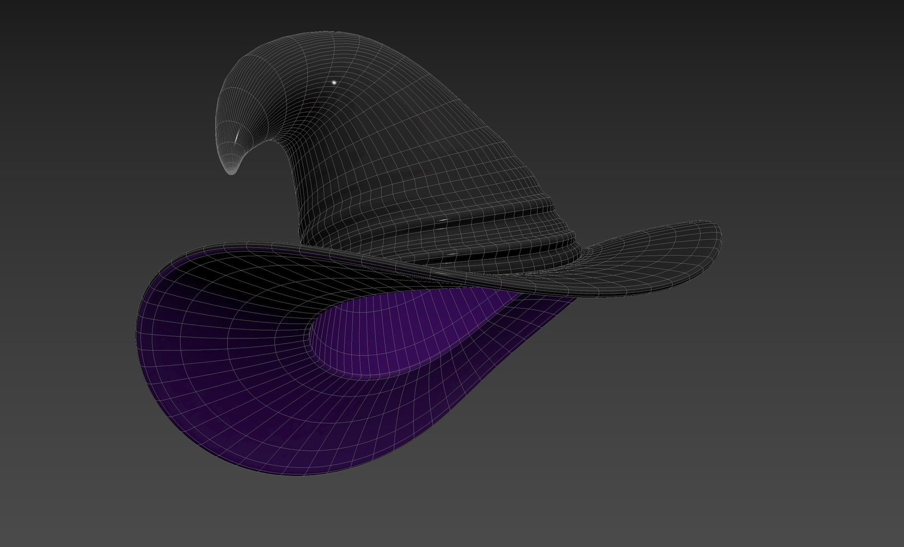 Hat005 Latex Witch Hat 3D Model - TurboSquid 1973013