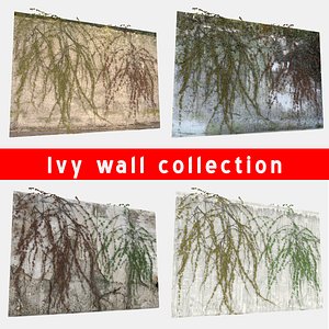 Ivy Wall Collection