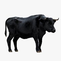 Bull Cow Rigged 3D