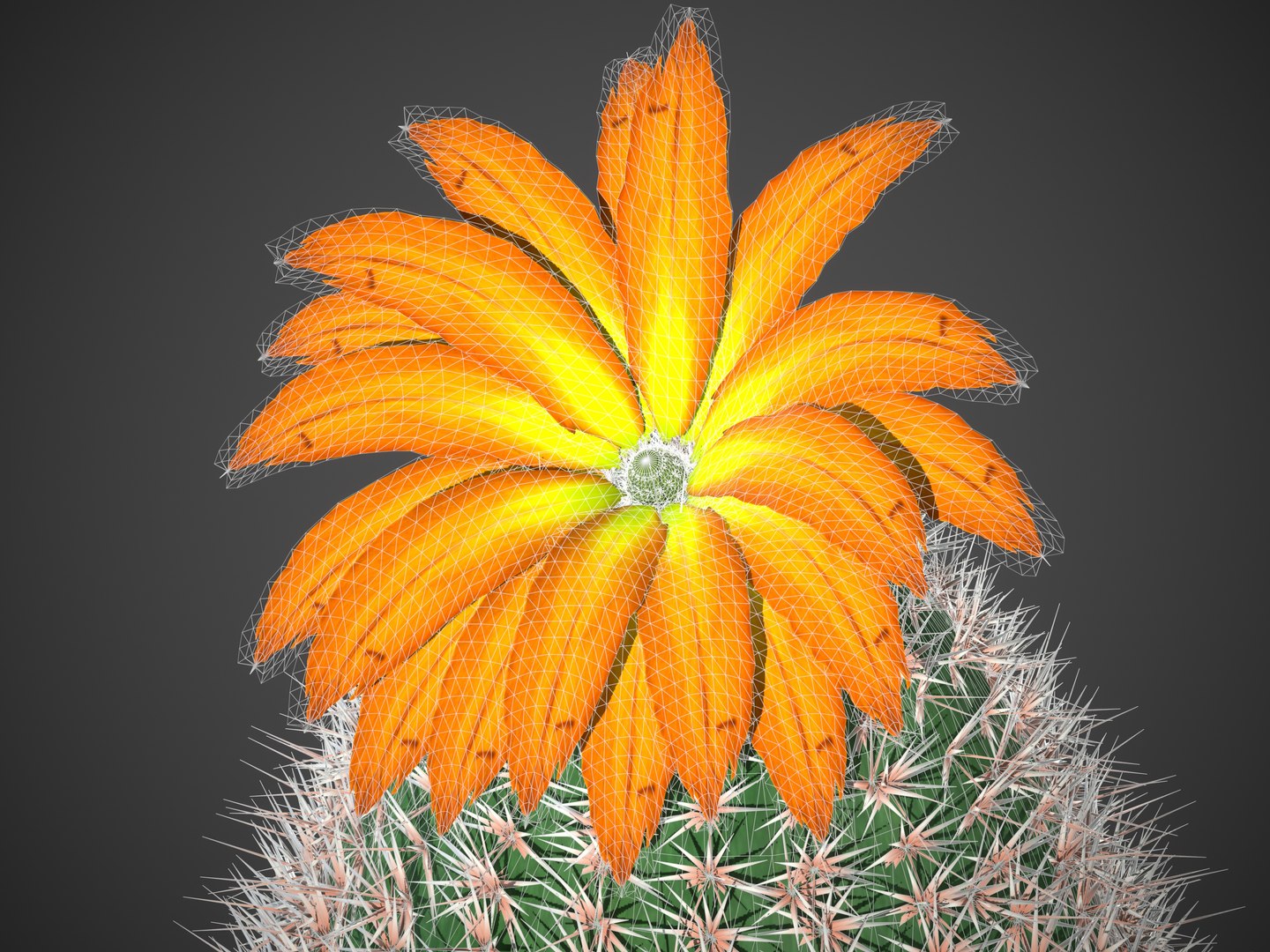 2021 PBR Rainbow Cactus Collection - Echinocereus Dasyacanthus 3D model https://p.turbosquid.com/ts-thumb/Fj/6qIbrv/wh/screenshot005/jpg/1638916472/1920x1080/fit_q87/b076a129dc6d3cc58147dbdd13e3a65fa4287d82/screenshot005.jpg