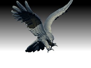 eagle american 3D model