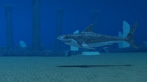 underwater shark 3d model