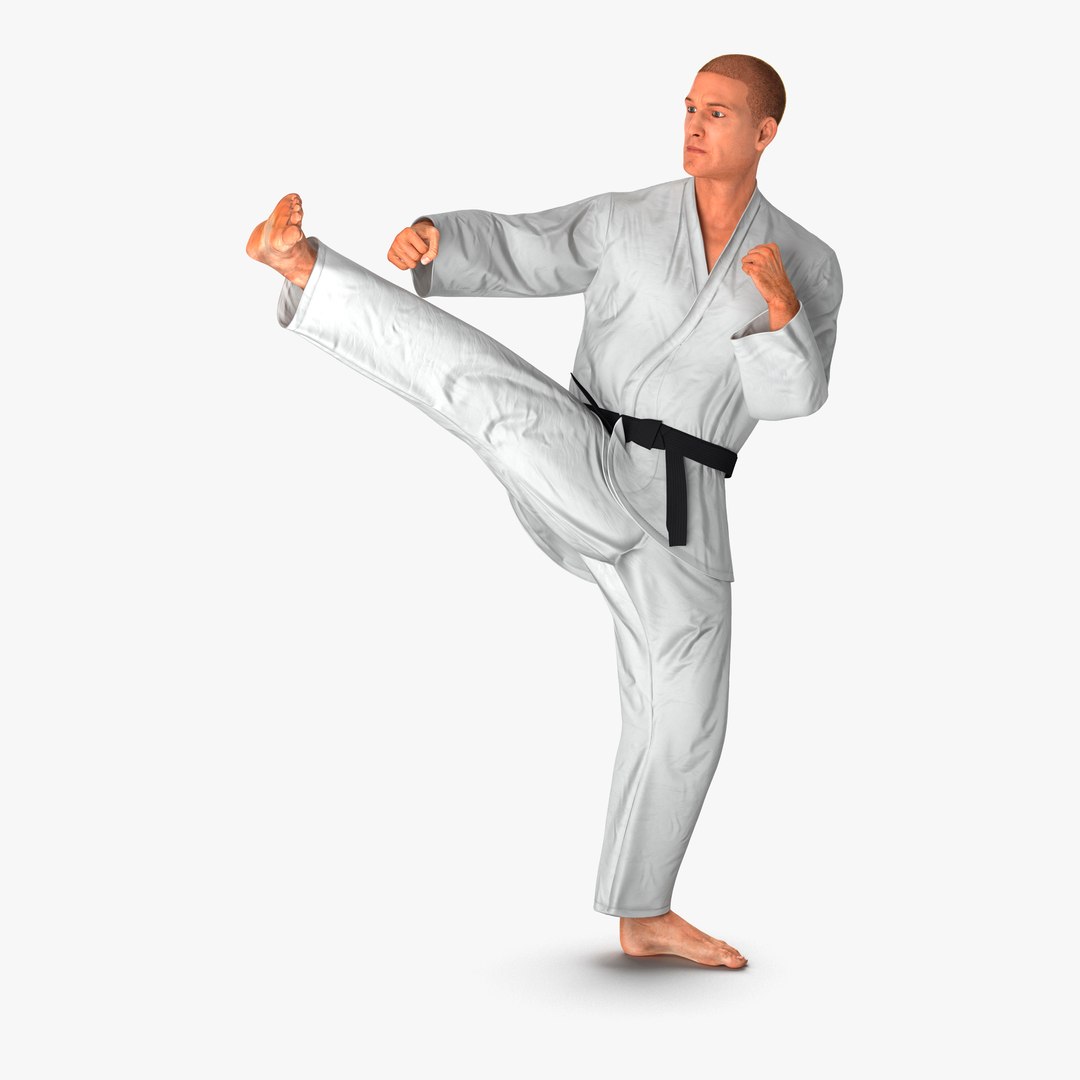 Karate Fighter Pose 2 with Fur 3D Model 3D model preview