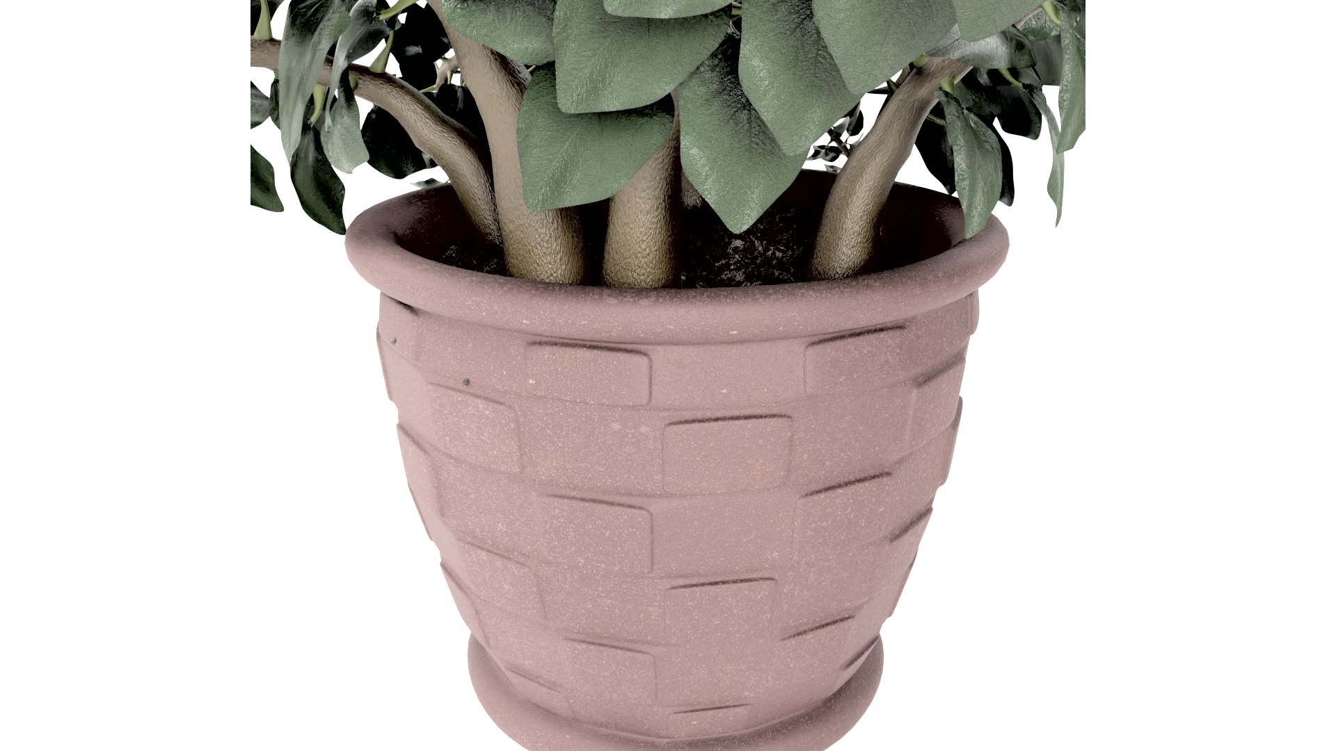 plant pot 3D model https://p.turbosquid.com/ts-thumb/Fj/htB5Mg/ET/plant4thumb007/png/1616006728/1920x1080/fit_q87/b12d5bb62d0ec660a0cf0608207dea236daacc52/plant4thumb007.jpg