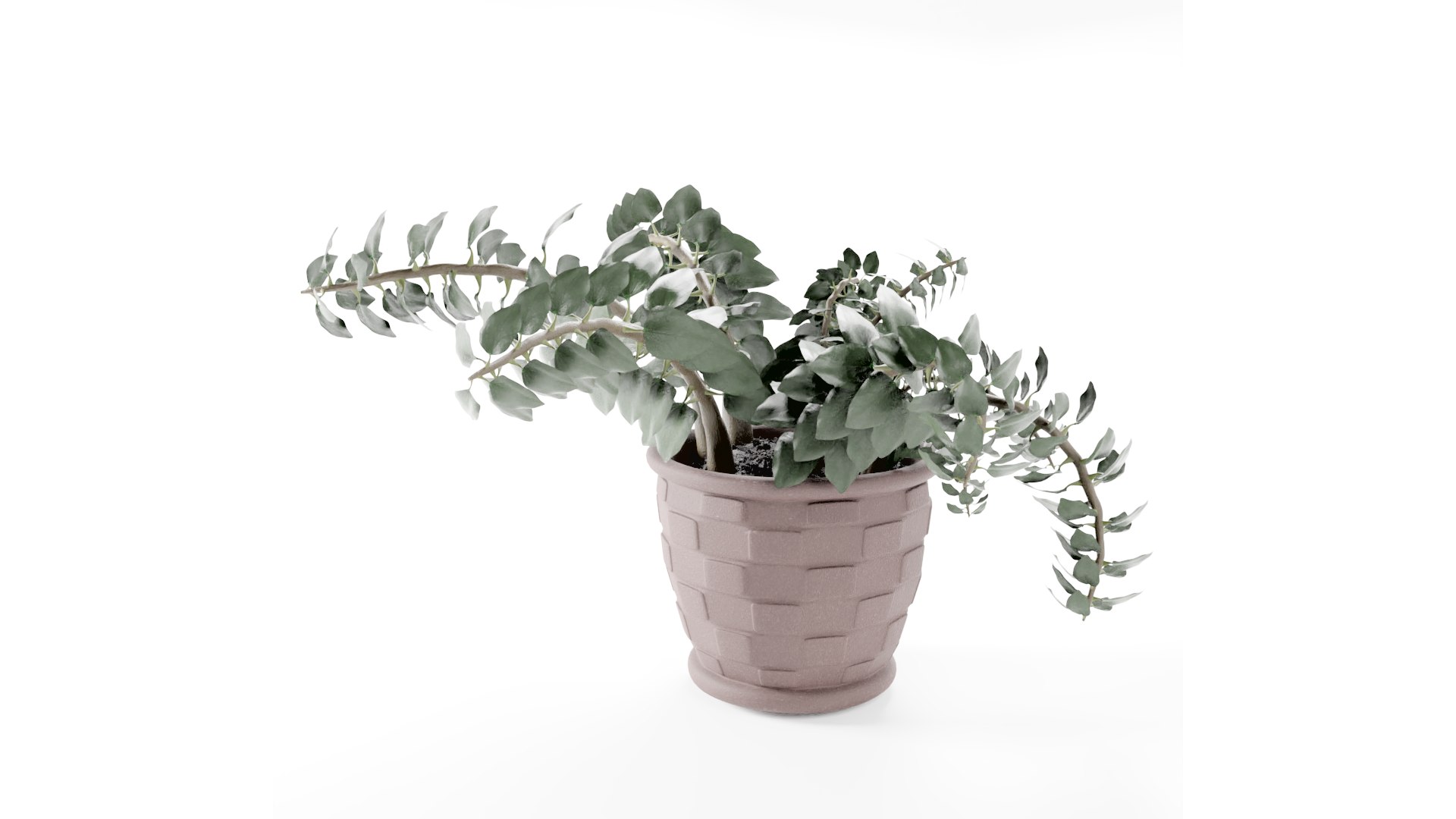 plant pot 3D model https://p.turbosquid.com/ts-thumb/Fj/htB5Mg/UC/plant4thumb003/png/1616006377/1920x1080/fit_q87/02056d42fb2a3340384d5ec5a42a971f05e701e5/plant4thumb003.jpg
