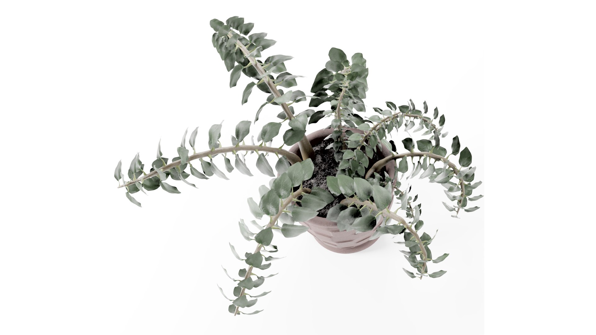 plant pot 3D model https://p.turbosquid.com/ts-thumb/Fj/htB5Mg/Yy/plant4thumb006/png/1616006540/1920x1080/fit_q87/888e90dbab627cf4630da8962528ad53aae20a60/plant4thumb006.jpg