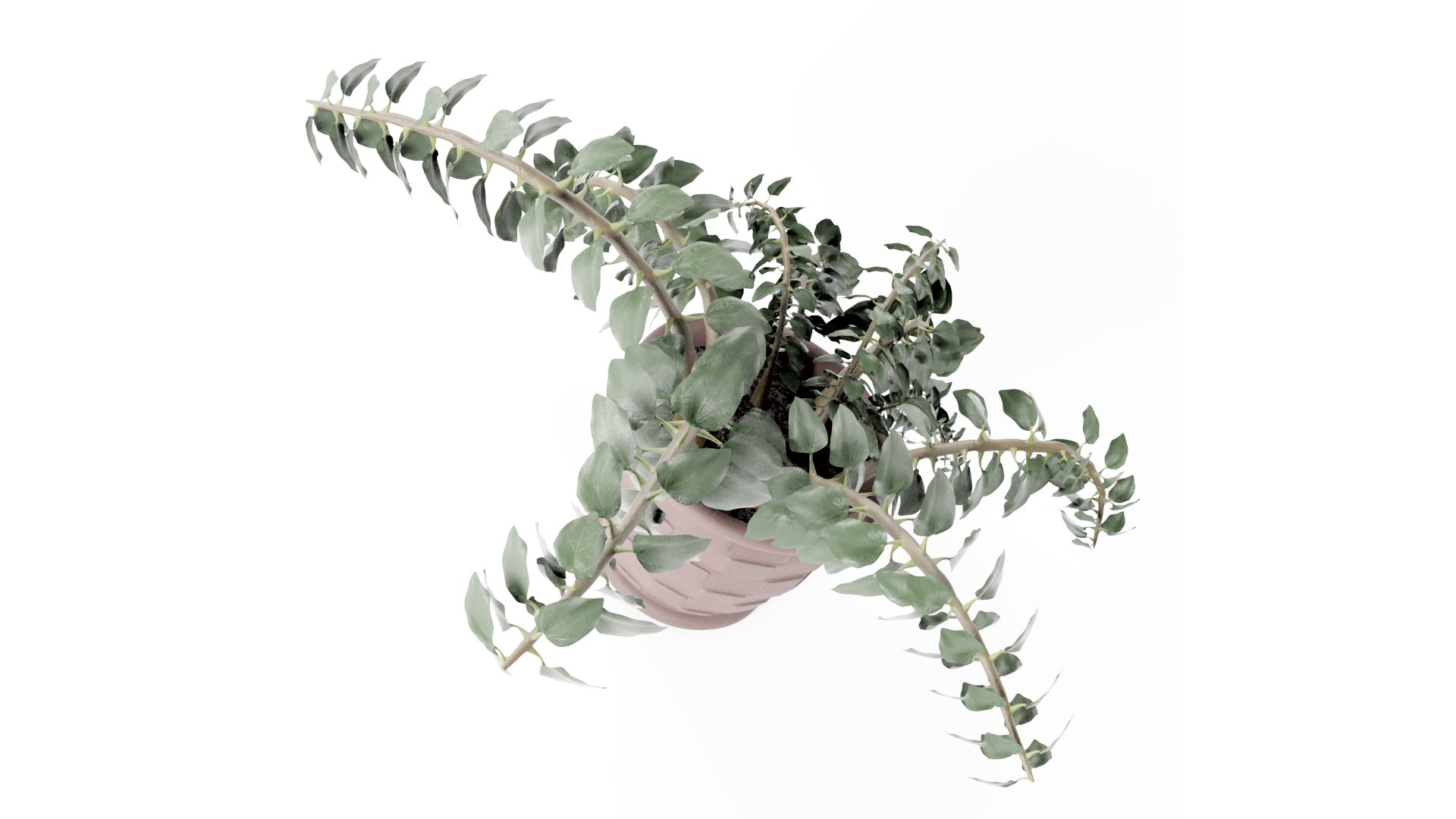 plant pot 3D model https://p.turbosquid.com/ts-thumb/Fj/htB5Mg/wB/plant4thumb004/png/1616006489/1920x1080/fit_q87/90c9437c1f040dcd3794a417b88c0af7e59ee6c7/plant4thumb004.jpg