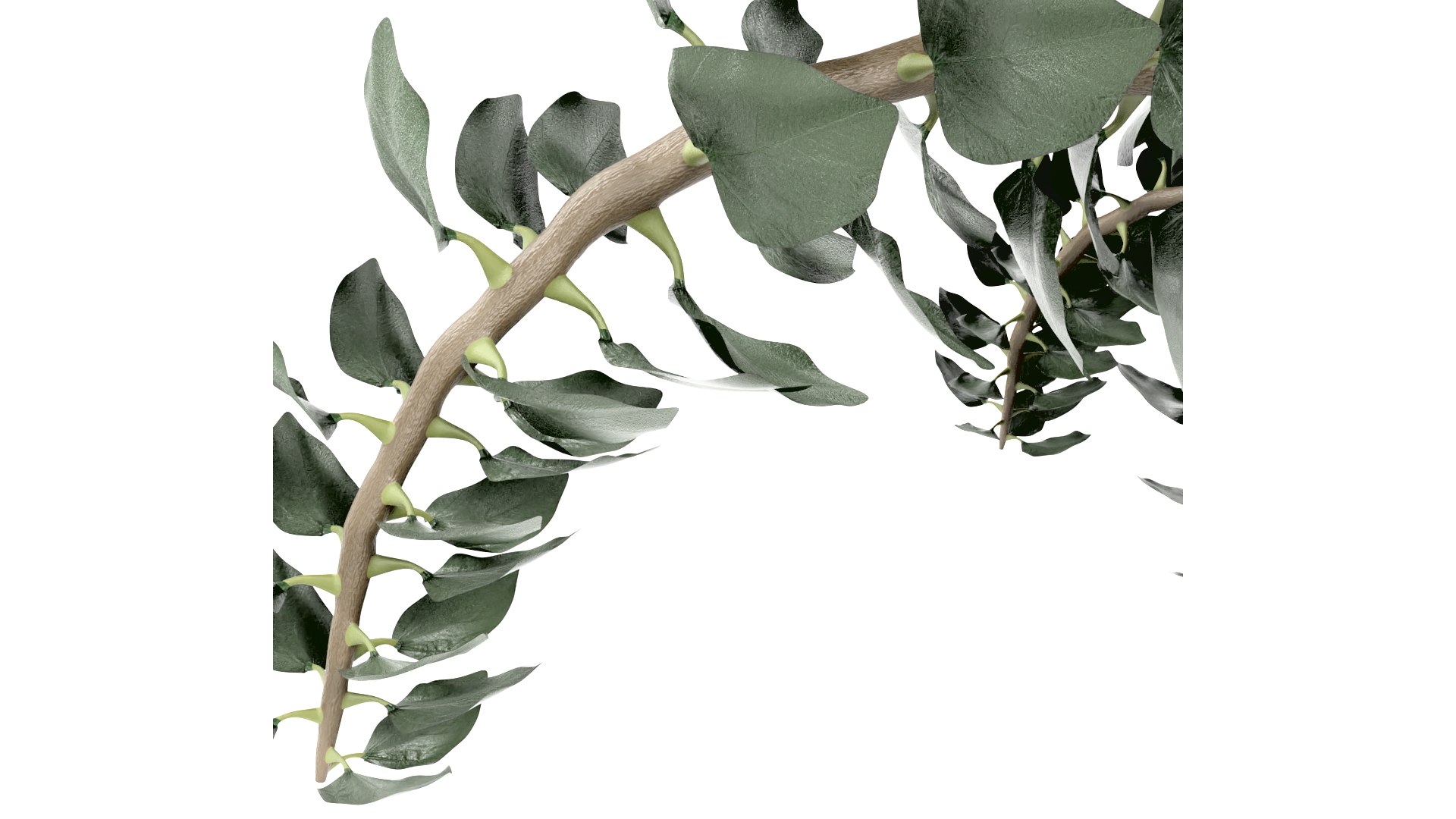 plant pot 3D model https://p.turbosquid.com/ts-thumb/Fj/htB5Mg/z4/plant4thumb008/png/1616006575/1920x1080/fit_q87/9339303f91387ce73a9639dc3568e27ead06c097/plant4thumb008.jpg