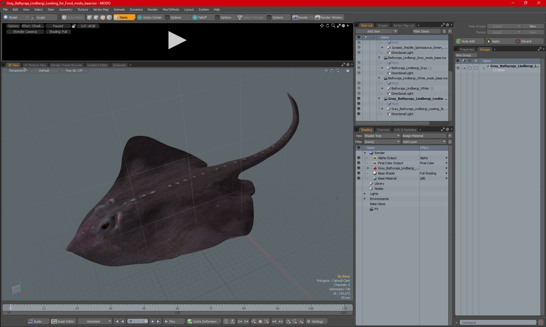 Gray Bathyraja Lindbergi Looking for Food 3D model https://p.turbosquid.com/ts-thumb/Fj/ieWNXu/2S/graybathyrajalindbergilookingforfoodvray3dmodel033/jpg/1723840521/1920x1080/fit_q87/df5ac6b00bf03053591840b5fb15224d58c27047/graybathyrajalindbergilookingforfoodvray3dmodel033.jpg