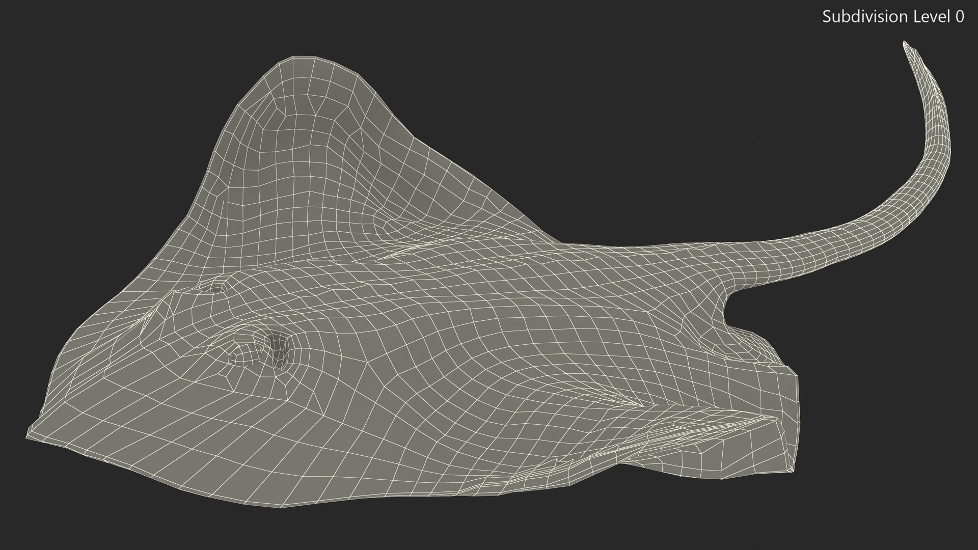 Gray Bathyraja Lindbergi Looking for Food 3D model https://p.turbosquid.com/ts-thumb/Fj/ieWNXu/4s/graybathyrajalindbergilookingforfoodvray3dmodel015/jpg/1723840470/1920x1080/fit_q87/876249f184fb665519de8301b8166196606650f1/graybathyrajalindbergilookingforfoodvray3dmodel015.jpg