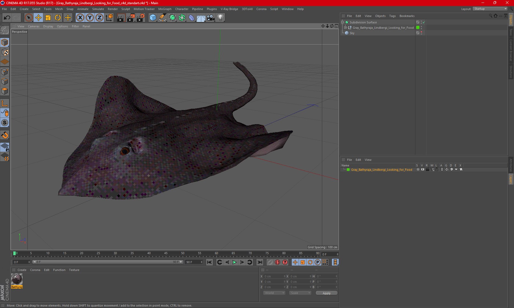 Gray Bathyraja Lindbergi Looking for Food 3D model https://p.turbosquid.com/ts-thumb/Fj/ieWNXu/7L/graybathyrajalindbergilookingforfoodvray3dmodel030/jpg/1723840508/1920x1080/fit_q87/9f240e3e747061f43bbba4a543ef991207f62f12/graybathyrajalindbergilookingforfoodvray3dmodel030.jpg