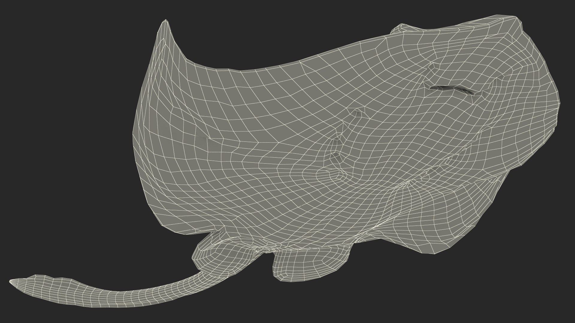 Gray Bathyraja Lindbergi Looking for Food 3D model https://p.turbosquid.com/ts-thumb/Fj/ieWNXu/U5/graybathyrajalindbergilookingforfoodvray3dmodel023/jpg/1723840502/1920x1080/fit_q87/52cba0da5c0a1dda6b791535f038e106ad7a220c/graybathyrajalindbergilookingforfoodvray3dmodel023.jpg