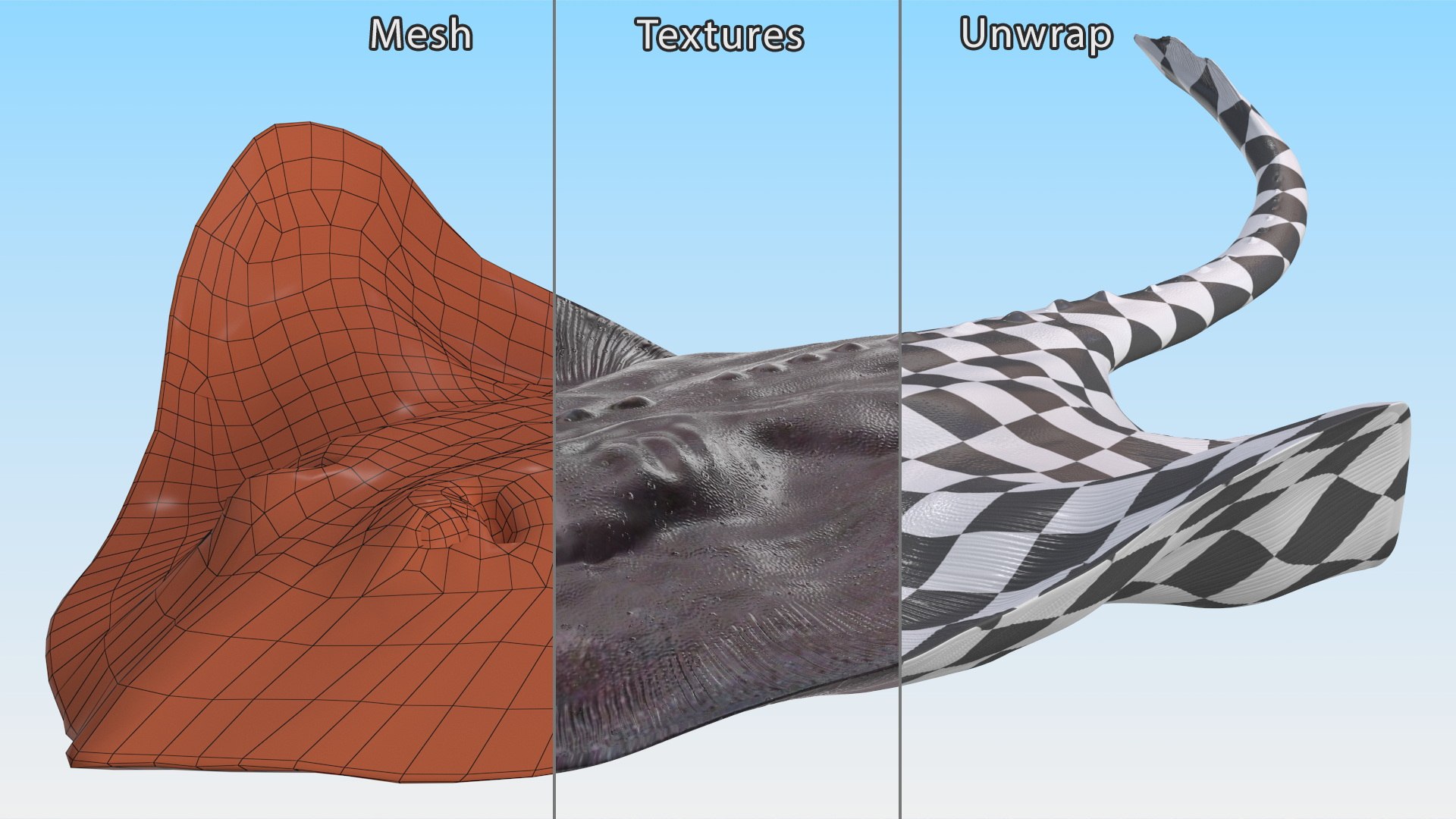 Gray Bathyraja Lindbergi Looking for Food 3D model https://p.turbosquid.com/ts-thumb/Fj/ieWNXu/Y1/graybathyrajalindbergilookingforfoodvray3dmodel014/jpg/1723840467/1920x1080/fit_q87/68094b61e2641a30fe6e7e58c2965145d2cd271c/graybathyrajalindbergilookingforfoodvray3dmodel014.jpg