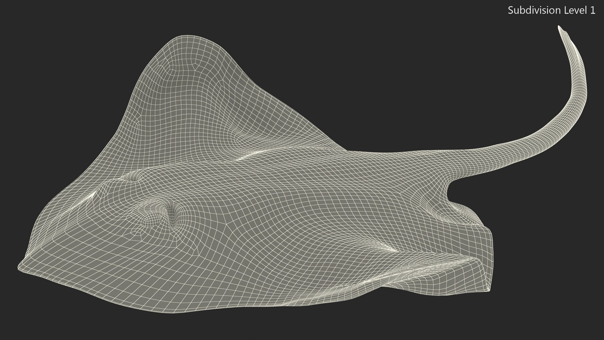Gray Bathyraja Lindbergi Looking for Food 3D model https://p.turbosquid.com/ts-thumb/Fj/ieWNXu/b0/graybathyrajalindbergilookingforfoodvray3dmodel016/jpg/1723840474/1920x1080/fit_q87/34b016c469a8582ae140217441913fe207e57e85/graybathyrajalindbergilookingforfoodvray3dmodel016.jpg