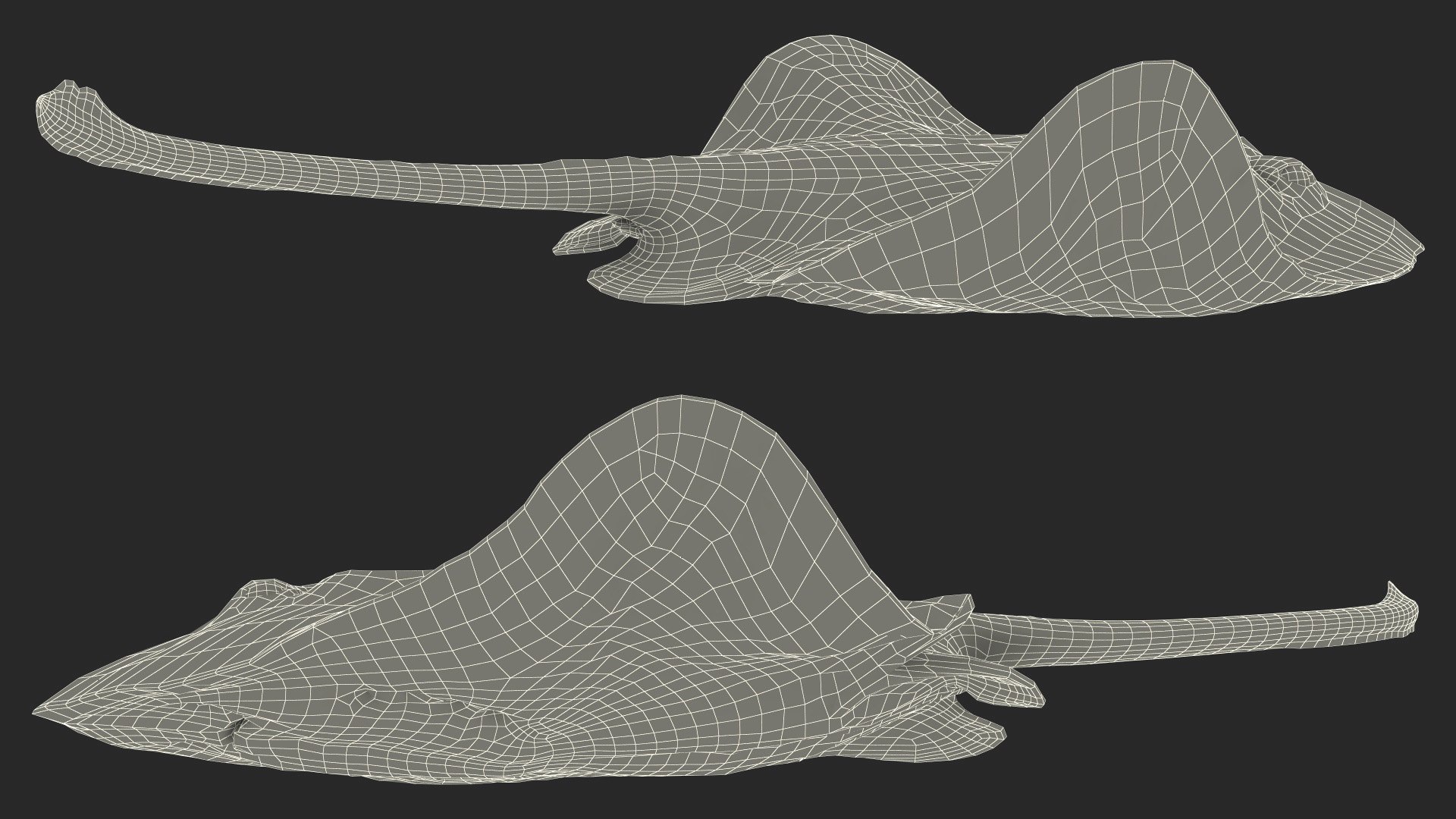 Gray Bathyraja Lindbergi Looking for Food 3D model https://p.turbosquid.com/ts-thumb/Fj/ieWNXu/iA/graybathyrajalindbergilookingforfoodvray3dmodel020/jpg/1723840490/1920x1080/fit_q87/1a37273a242b58e632d0c1b8c5b5e513ea014613/graybathyrajalindbergilookingforfoodvray3dmodel020.jpg