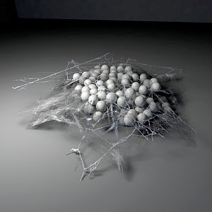 Spider Egg Sac 2