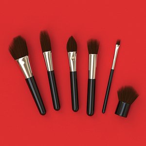 set brush 3D model