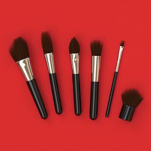 Brush Set