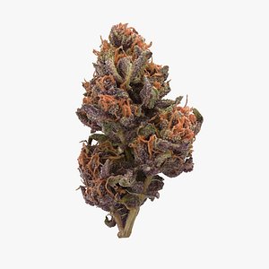 3D cannabis bud forbidden fruit