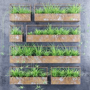 Rectangular shelves two