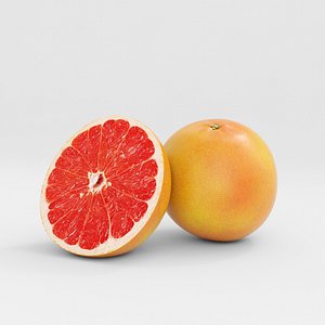 3D grapefruit fruit model