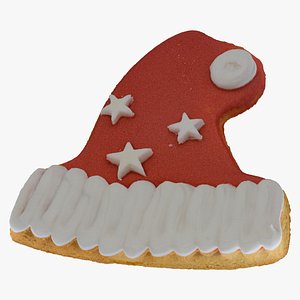 3D Christmas Hat Gingerbread Cookie 01 RAW Scan