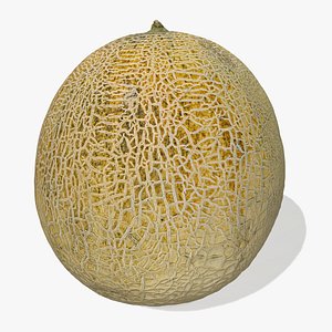 8k Cantaloupe with 3 LODs 3D