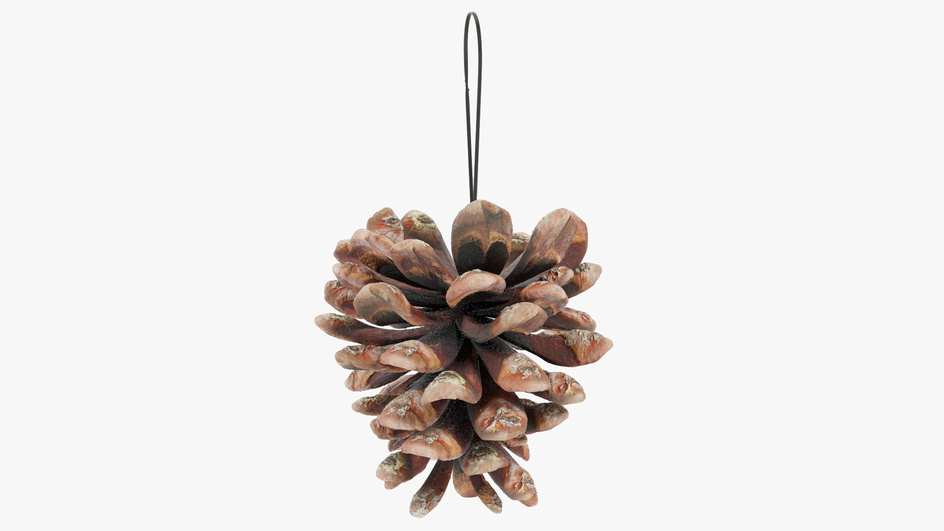 Christmas Ornaments Collection V10 3D https://p.turbosquid.com/ts-thumb/Fk/MXwYqy/1d/cctt1_004_004/png/1702504678/1920x1080/fit_q87/f0506d13bb18b2a0277bd9dbc6fd81a18f705133/cctt1_004_004.jpg